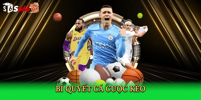 bi-quyet-ca-cuoc-keo-3