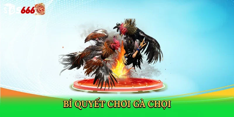 bi-quyet-choi-ga-choi-4