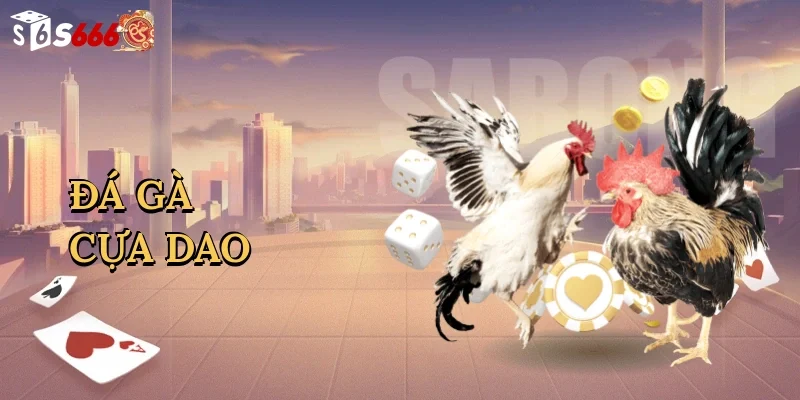 da-ga-cua-dao-1