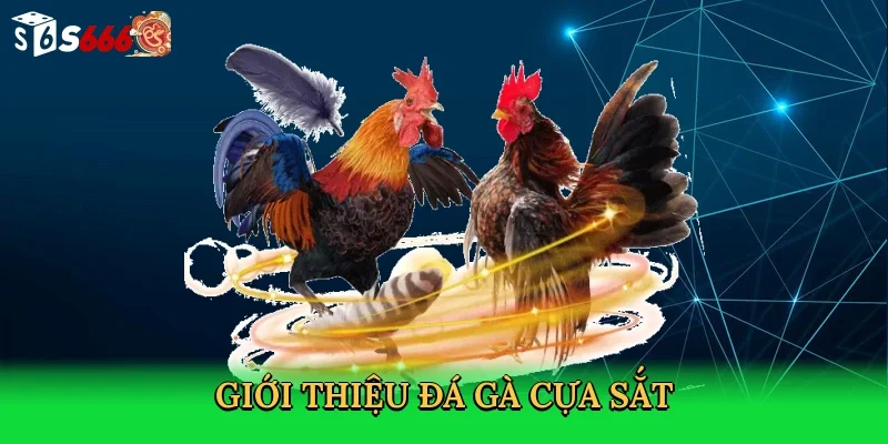 gioi-thieu-da-ga-cua-sat-2