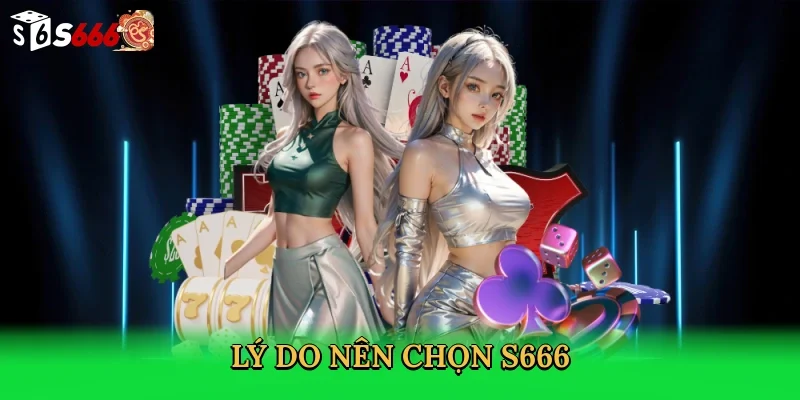ly-do-nen-chon-s666