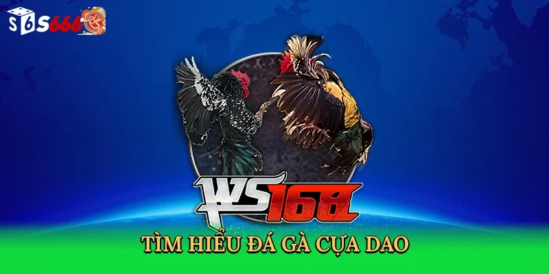 tim-hieu-da-ga-cua-dao-2