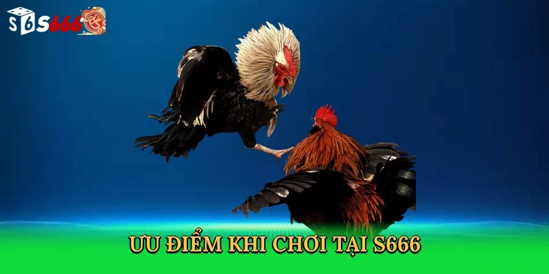 uu-diem-khi-choi-tai-s666-3