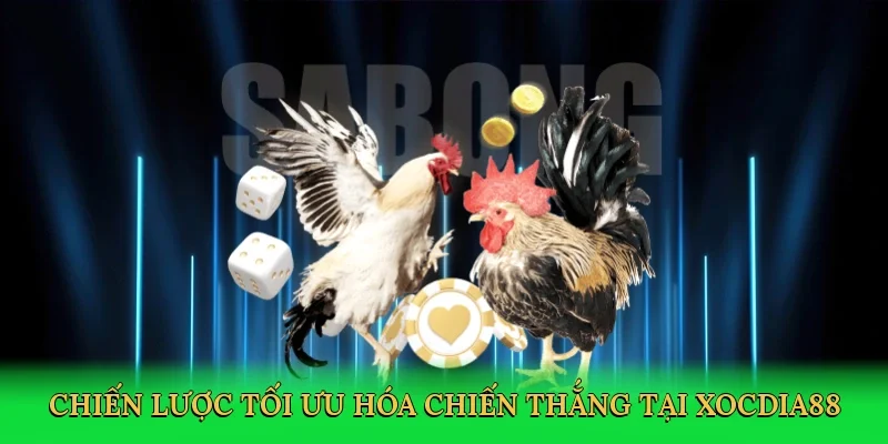 Chiến lược tối ưu hóa chiến thắng tại xocdia88