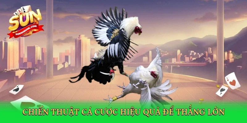 Chiến thuật cá cược hiệu quả để thắng lớn