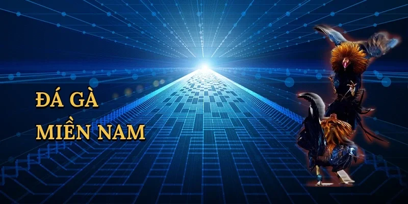 Đá gà miền nam