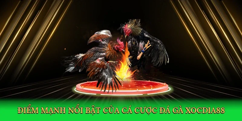Điểm mạnh nổi bật của cá cược đá gà xocdia88