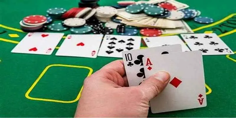 Nhà cái hàng đầu trong năm nay