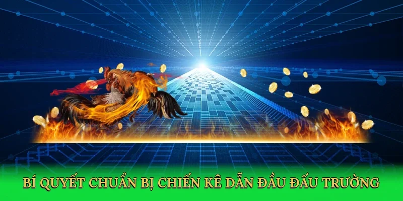 Bí quyết chuẩn bị chiến kê dẫn đầu đấu trường