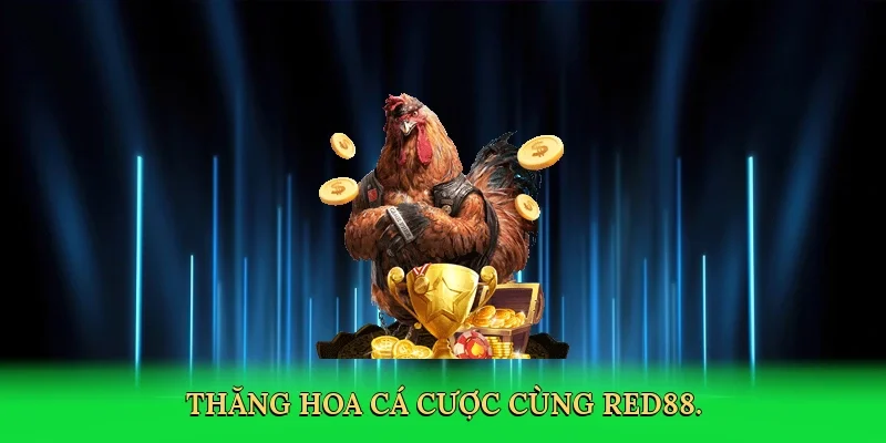 Thăng hoa cá cược cùng Red88.