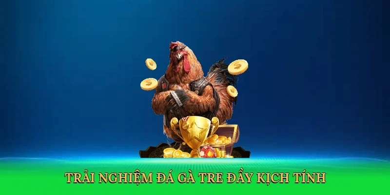 Trải nghiệm đá gà tre đầy kịch tính